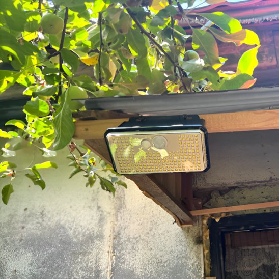 détecteur de mouvement près dune branche 